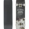 GLOBE 8.0" G1 VARSITY 2 SKATEBOARD COMPLETE HAWAII -Glide Quest Shop globe g1 varsity 2 8 0 skate completo