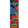 TONY HAWK SKATEBOARDS 7.75" DIVING HAWK MULTI -Glide Quest Shop tony hawk skateboards 7 75 diving hawk multi