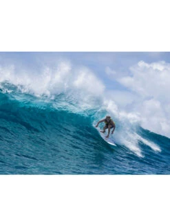 TORQ TET 8'0" LONG WHITE + PINLINE -Glide Quest Shop torq tet 8 0 longboard white pinline 6